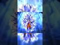 FULL POWER MASTER ULTRA INSTINCT 😈😈😈🤯🤯🤯#dbs #anime #sehar #dragonballsuper