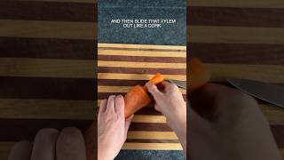 Carrot Disassembly Hack carrot