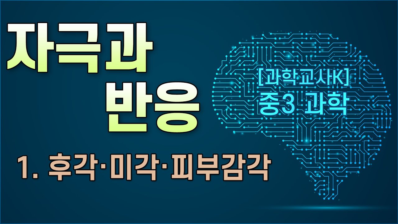 [중3과학] Ⅳ.자극과 반응 - 1.후각·미각·피부감각