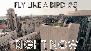 Fly Like A Bird #3 - [Right Now]