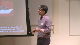K. Lisa Yang ICoN Center Symposium - Bob Datta, Harvard Medical School