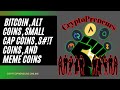 Bitcoin, alt coins small cap coins, s#!t coins, and meme coins