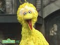 Sesame Street: Elmo's Song