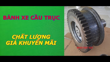 banh xe dam bien cau truc, bánh xe cầu trục, bánh xe D200-D500, banh xe dam bien, banh xe cau truc