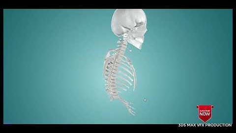 Elbow Joint model for 3ds max free downloads (file describe)