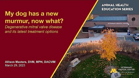 My dog has a new murmur, now what? Degenerative mitral valve disease and latest treatment options