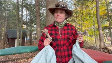 3 Minutes with a Maine Guide 33   Kitchen Tarp #1  Friggin