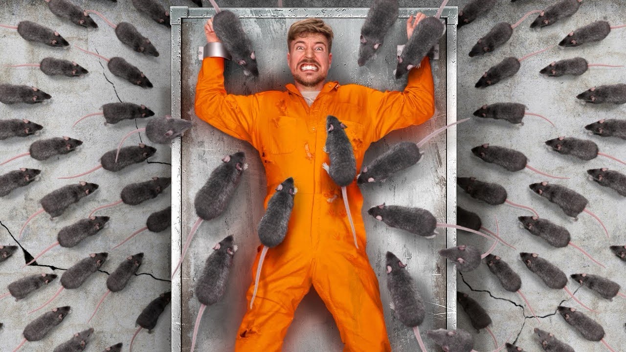 WAXUU HALIS WEYN GALSHAY NAFTIISA SI UU U HELO LACAG DHAN $800,000 O DOLLER||best challege ever