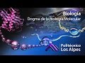 Biología - Dogma de la Biología Molecular