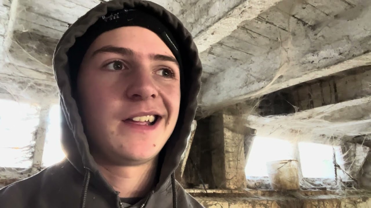 Холодный день на молочной ферме!