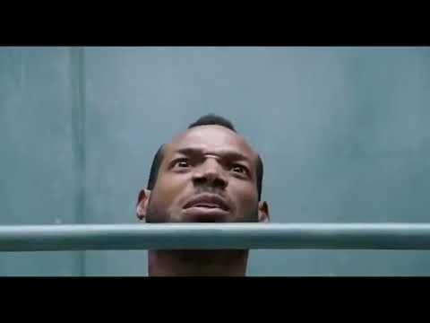 პატარა კაცი ციხიდან გამოუშვეს