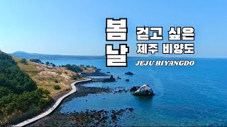 [봄날] 걷고 싶은, 제주 비양도 Trailwalking Jeju Biyangdo