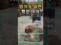 가장 약했던 강아지, 사람을 구하는 구조견이 되었습니다 The Weakest Puppy Became a Life-Saving Rescue Dog #구조견