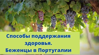 Способы поддержания здоровья за границей. Беженцы в Португалии. Работа на винограднике