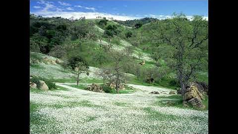 سورة المزمل بصوت القارئ عبد الله شالوالة