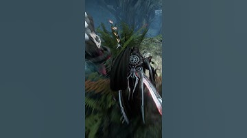 WARFRAME USUAL FIGHT #shorts