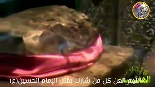 الصخرة التي وضع عليها راس الامام الحسين عليه السلام تنزف دم الخادم الحسين كرار الكربلائي