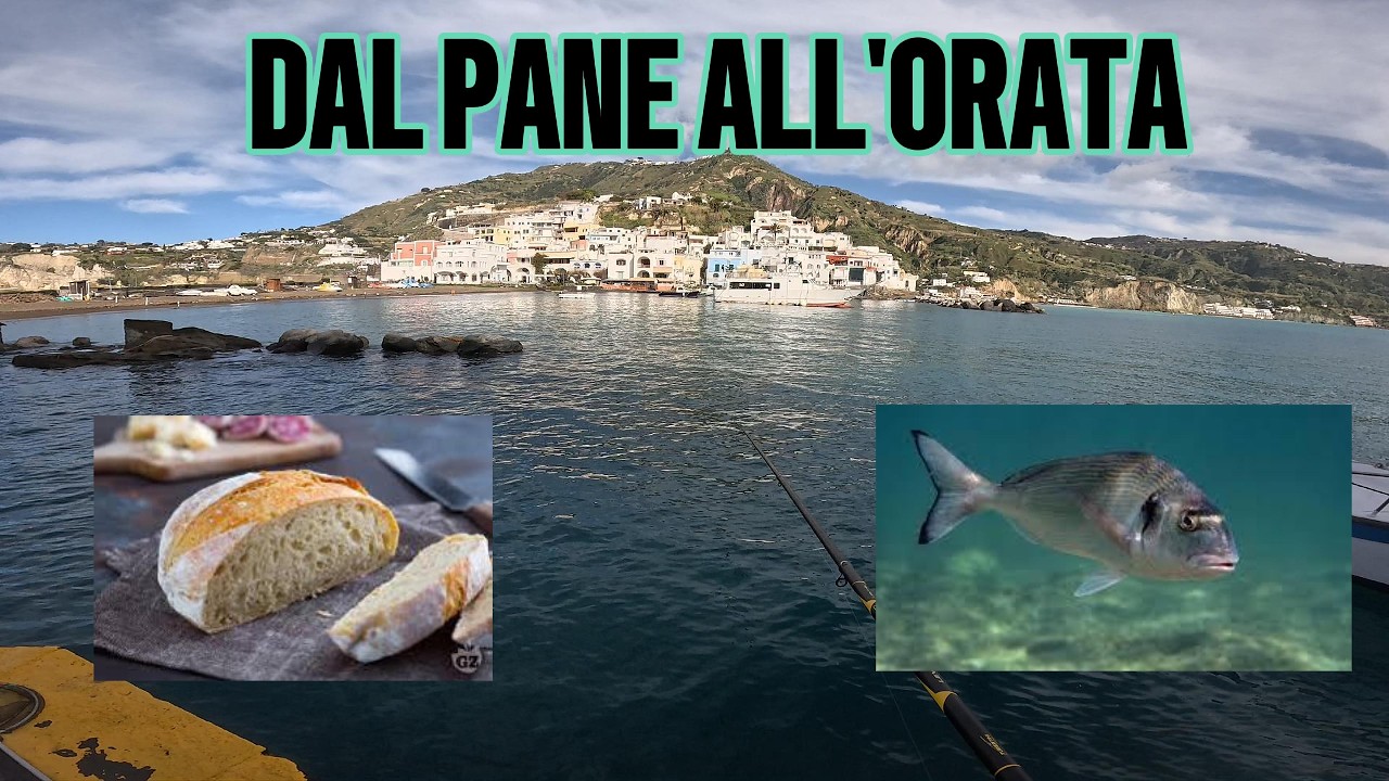 COME TRASFORMARE DEL PANE IN UN ORATA - BOLOGNESE (ARRANGIATA)