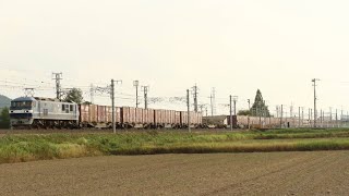 5064レ EF210-2岡