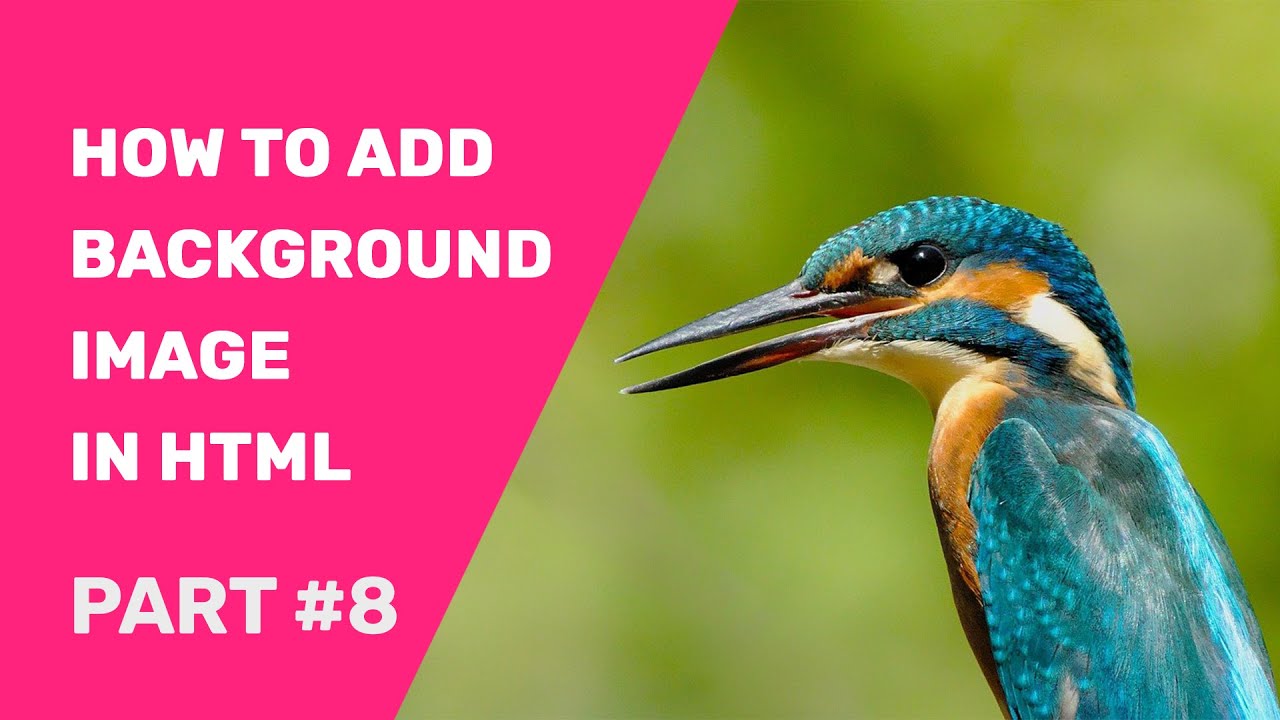 How To Add Background Image In Html Using Notepad Html Images Youtube