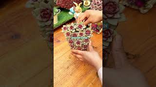 5-Minute Creative Succulent Arrangement Ideas 5-Minute Creative Succulent Arrangement Ideas