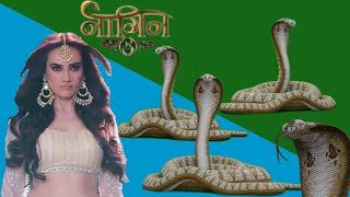 Naagin 5 Bela Snake on Green Screen | Made by Naagin Fan Made