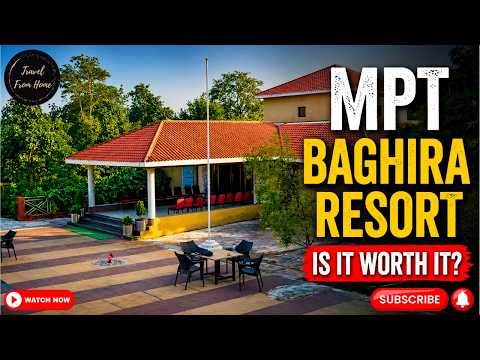 MPT Baghira Resort: Is It Worth It? | Kanha National Park | Travel from Home