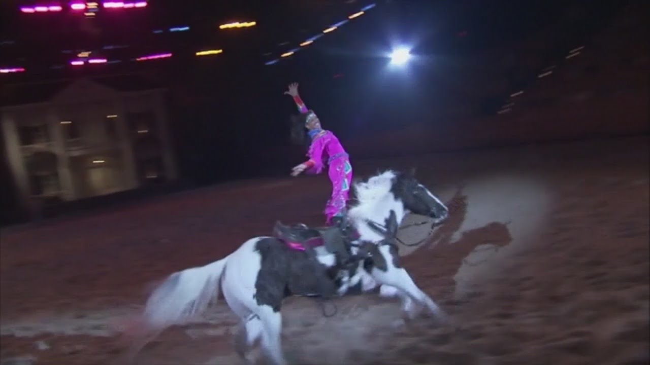 Dixie Stampede name change sparks reaction from fans YouTube
