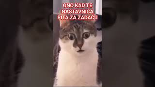 Veliki Problem U Školi