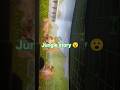 story 🙀#newvideo #2026 #junglestory
