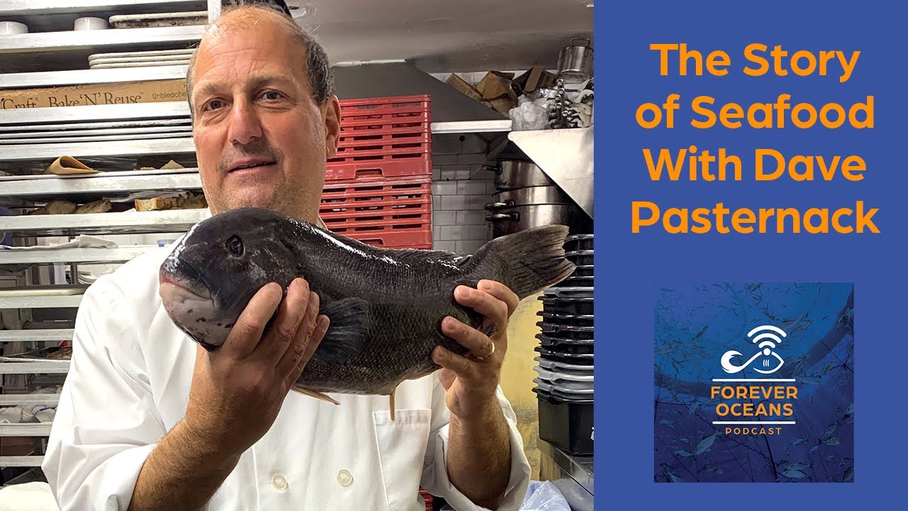 The Story of Seafood With Dave Pasternack | Ocean Raised Podcast by Forever Oceans