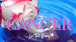 💖 CANCER YOUR READING MADE ME LAUGH! 🎣💞 THEY'RE GOING TO REEL YOU IN! CANCER LOVE TAROT #cancertarot