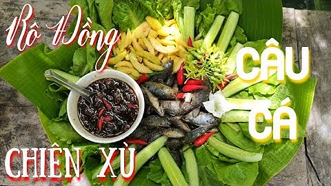 Anh Mỹ Vlogs | Thử Làm Món Cá Rô Đồng Chiên Xù Giòn Rụm Siêu Ngon