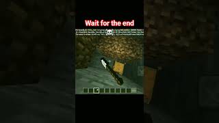 Wait for the end☠️#ytshorts #minecraft