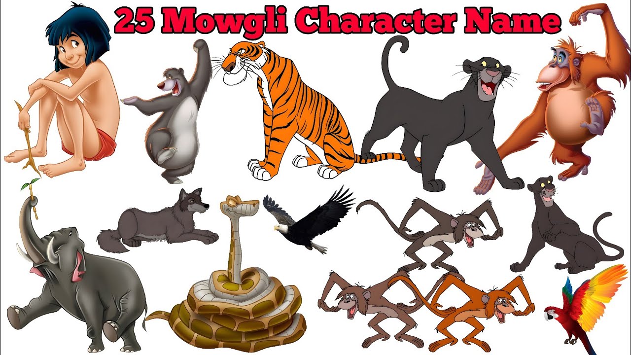 Jungle Book All Cartoon Characters ​Name in Hindi & English | 25 मोगली के किरदारों के नाम | 