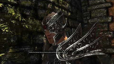 Divinity II: Developer