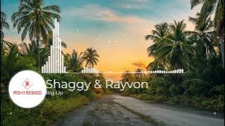 [30Hz and up] Shaggy & Rayvon - Big Up (Rebassed)