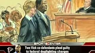 Famous Michael Vick   Gruesome Details Emerge in Dog Fighting Case Net Worth