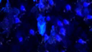 Dynasty Warriors 4 Hyper Intro