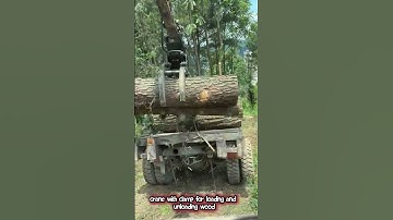 crane with clamp for loading and unloading wood