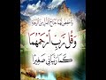 و اخفض لهما جناح الذل من الرحمة و قل رب ارحمهما كما ربياني صغيرا