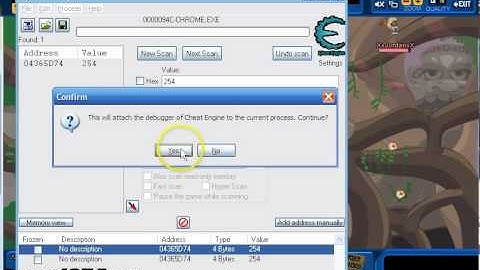 Wild Ones x99 ammo hack with full tutorial.