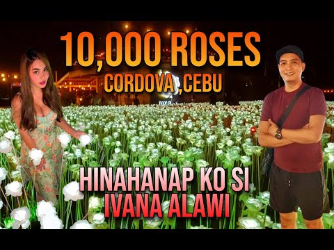 EXPLORING 10,000 ROSES IN CORDOVA CEBU #cordovacebu #10,000roses #trending #viral