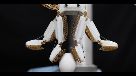 Mark Cutkosky, Wilson Ruotolo, Dane Brouwer "Robotic Hand With A Gecko-Like Grip"