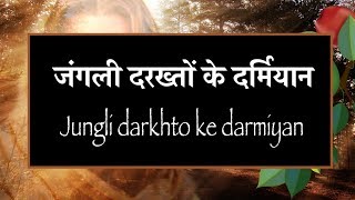 Video thumbnail of "जंगली दरख्तों के दर्मियान Jungli darkhto ke darmiyan"