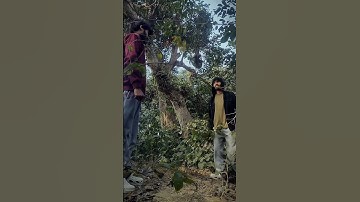 Did Thanos ACTUALLY Have a Point? | Snap effect #shorts #youtubeshorts #shortvideo