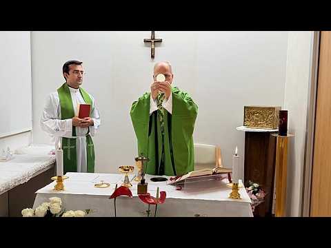 Vatican releases first photos of Pope Leo XIV after lung tumour surgery