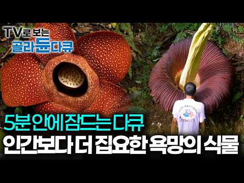 식물에게도 식욕·성욕·수면욕이 있다, 지구상 어떤 생명체보다 ‘자손번식’의 욕구가 강한 식물｜다큐프라임｜#골라듄다큐