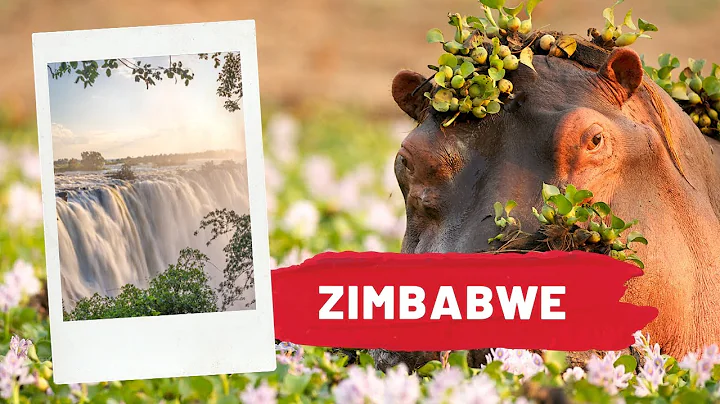 Zimbabwe - The Hidden Gem