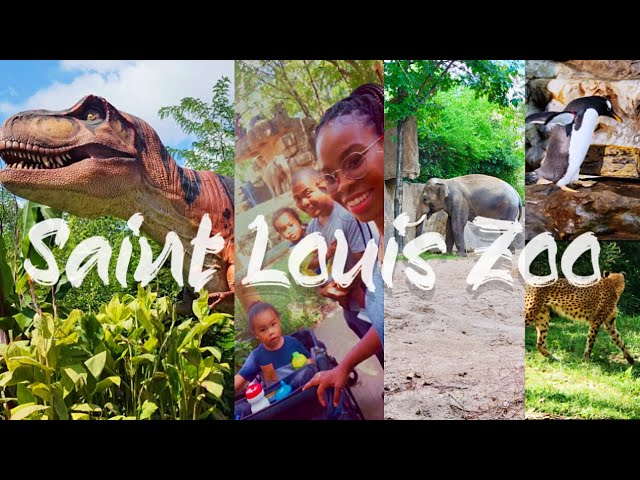 Free Saint Louis Zoo, Dinosaur Exhibit, Train ride